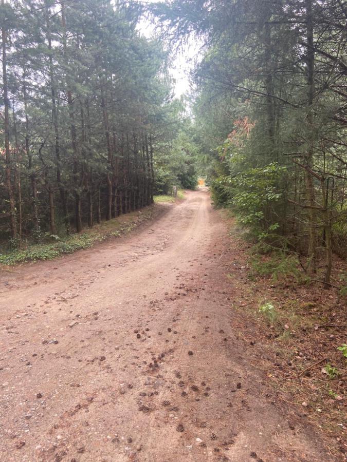 Domek Nad Jeziorem Kamien 2A Kowalewo Екстериор снимка